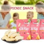 ONETANG Freeze-Dried Fruit Yellow Peach Chips, 9 Pack Single-Serve Pack, Non GMO, Kosher, No Add Sugar, Gluten free, Vegan, Holiday Gifts, Healthy Snack 0.35 Ounce - Image 8